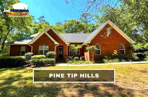Pine Tip Hills Tallahassee
