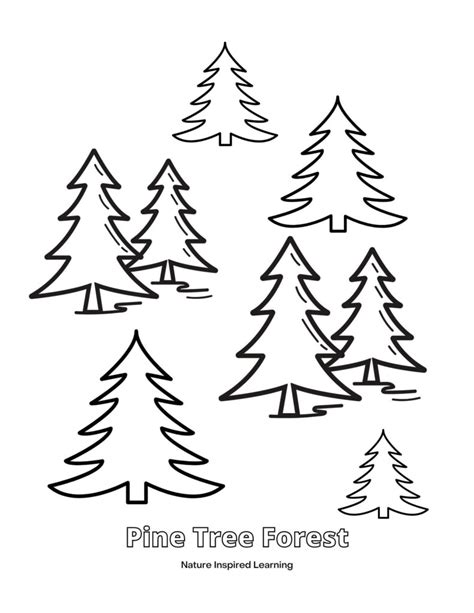 Pine Tree Coloring Bnook Page