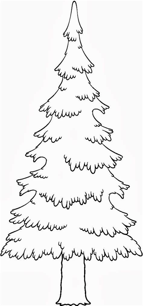 Pine Tree Coloring Page Free