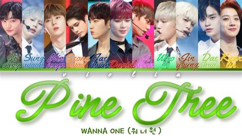Pine Tree Lyrics Wanna One