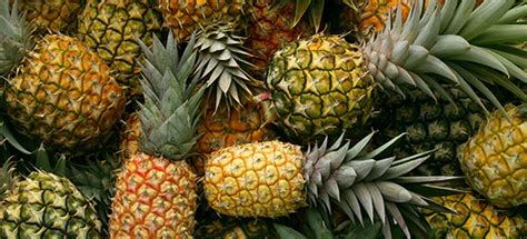 Pineapple Is A Berry: The Truth Will Surprise You