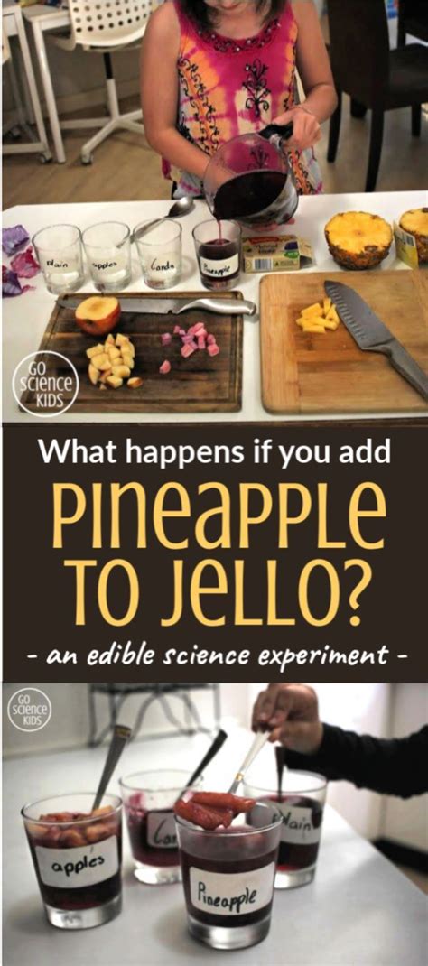 Pineapple And Jello Experiment