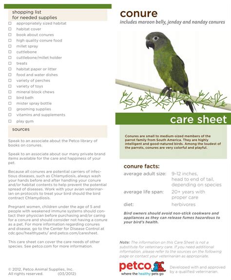 Pineapple Conure Care Sheet