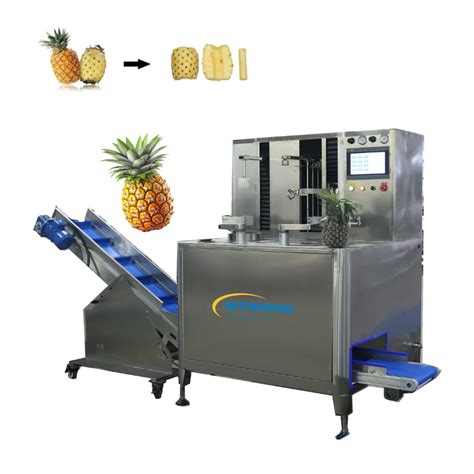 Pineapple Cutting Machine Publix