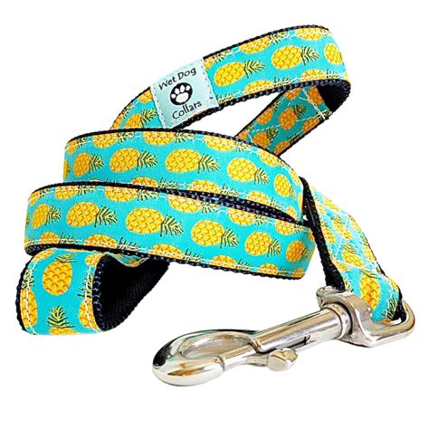 Pineapple Dog Leash