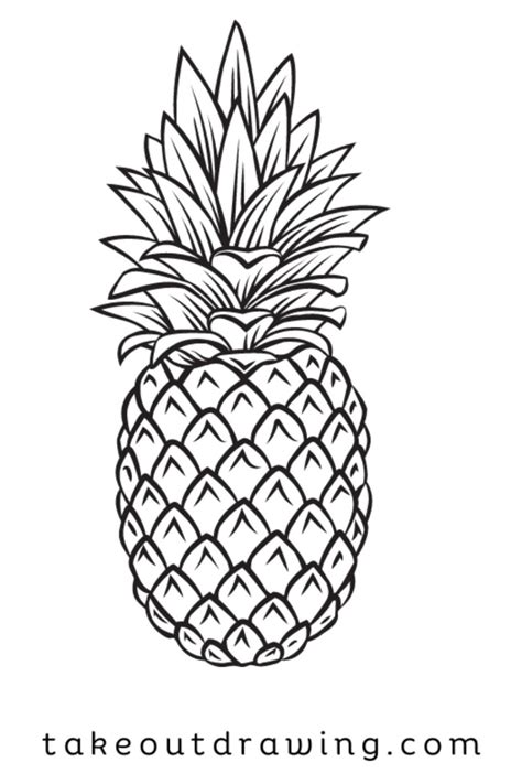 Pineapple Drawing Download