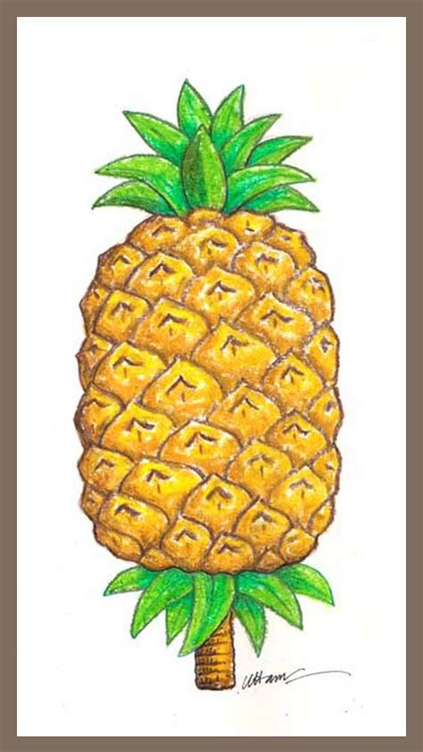 Pineapple Drawing Pinterest