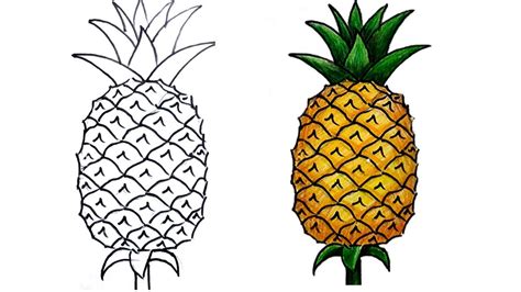 Pineapple Drawing Simple