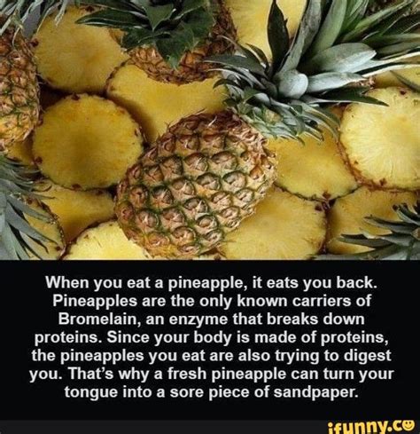 Pineapple Eats You Back