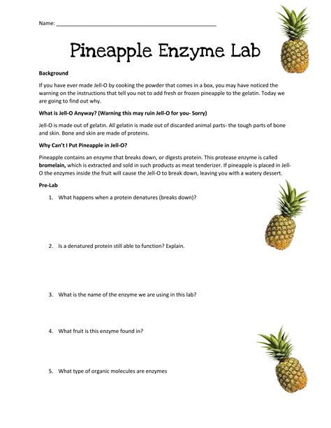 Pineapple Enzyme Lab Pdf