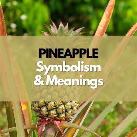 Pineapple Good Luck Symbol