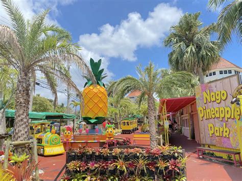 Pineapple Park Hours