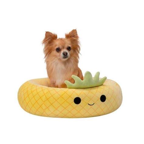 Pineapple Pet Store
