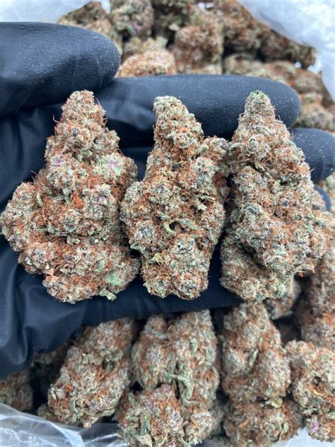 Pineapple Punch Strain Review