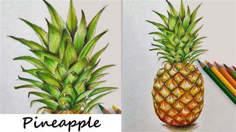 Pineapple Sketch Color