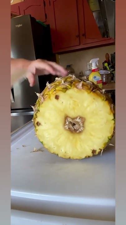 Pineapple Slicer Pampered Chef