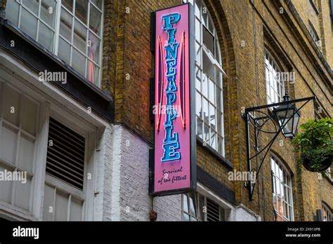 Pineapple Studios Contact Number