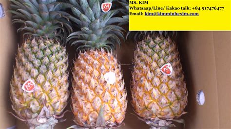 Pineapples Price
