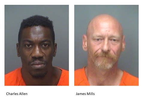 pinellas county jail public arrests