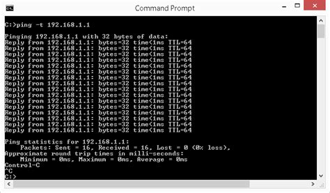 ping command in computer network pdf
