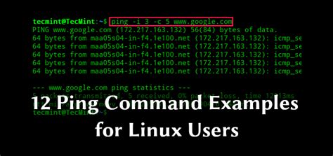 Ping Command In Linux Syntax