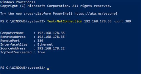 ping command in windows with port