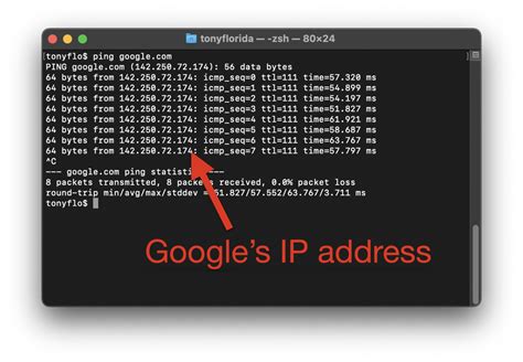 ping command line mac