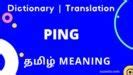 ping meaning in tamil with example