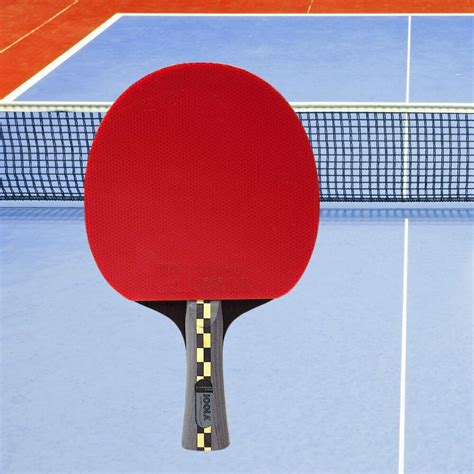 Ping Pong Paddle Game