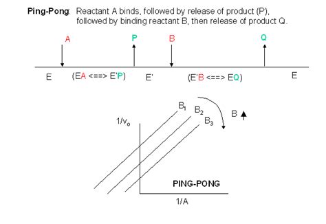 ping pong substrate binding