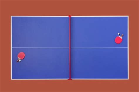Ping Pong Table Top View