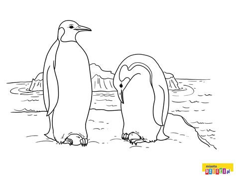 pingwiny w stadzie kolorowanka do druku