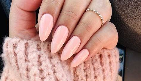 Pink Almond Press On Nails Glossy Medium Fake False 24 Pc Nail