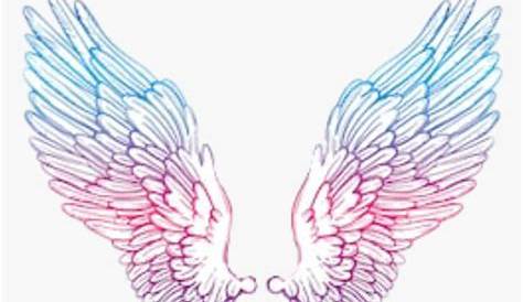Pink & Blue Angel Wings - Hapava