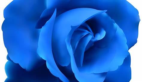 Blue Rose PNG Image | PNG Arts
