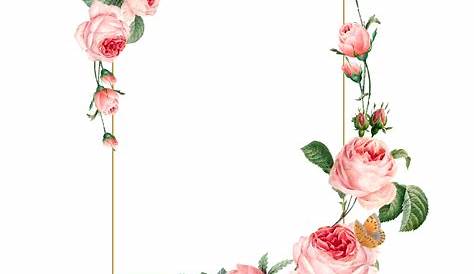 Floral Border - Pink Royalty Free Stock Images - Image: 6395159