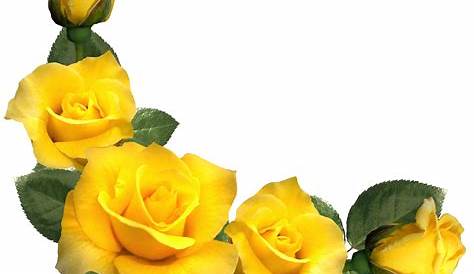 Yellow and Pink Rose Bouquet PNG Clipart | Букет из желтых роз, Букет