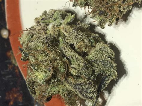 Meat Breath *GAS* (AAAAA+) Imperial Bud Free Same Day Weed Delivery