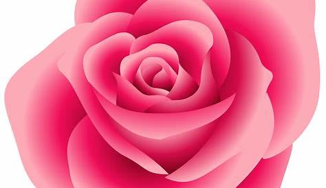 Pink flowers Rose Clip art - rose png download - 600*428 - Free