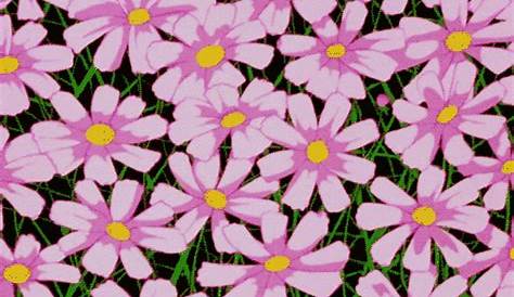 Pink Flower GIF - Pink Flower - Discover & Share GIFs