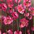 pink flowers for wallpaper