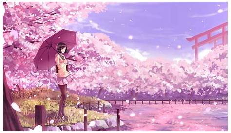 Anime Girl Purple Umbrella Pink Sakura Flowers Background 4K HD Anime
