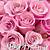 pink rose happy birthday images