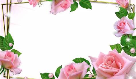 Transparent Pink Roses Frame Rose Frame, Flower Frame, Image