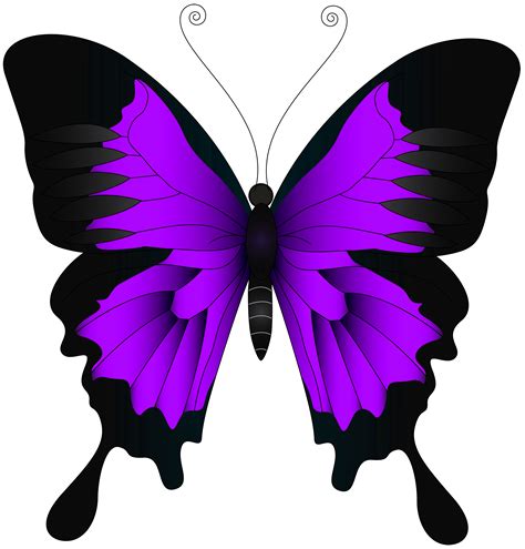 pink and purple butterfly clipart