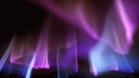Pink Background Loop Gif