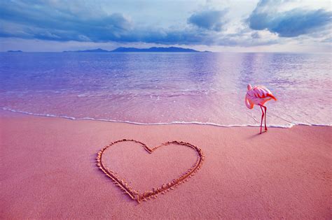 Pink Beach Secrets Revealed: Explore Nature's Enigmatic Hue