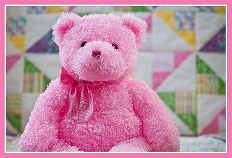 Pink Bear: The Mystery Unveiled