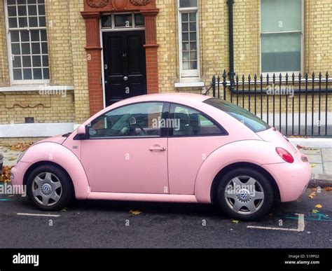 Mystery of the Pink Beetle Revealed: A Rare Find in Nature