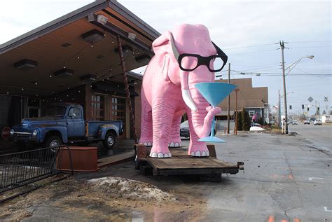 pink elephant discount store
